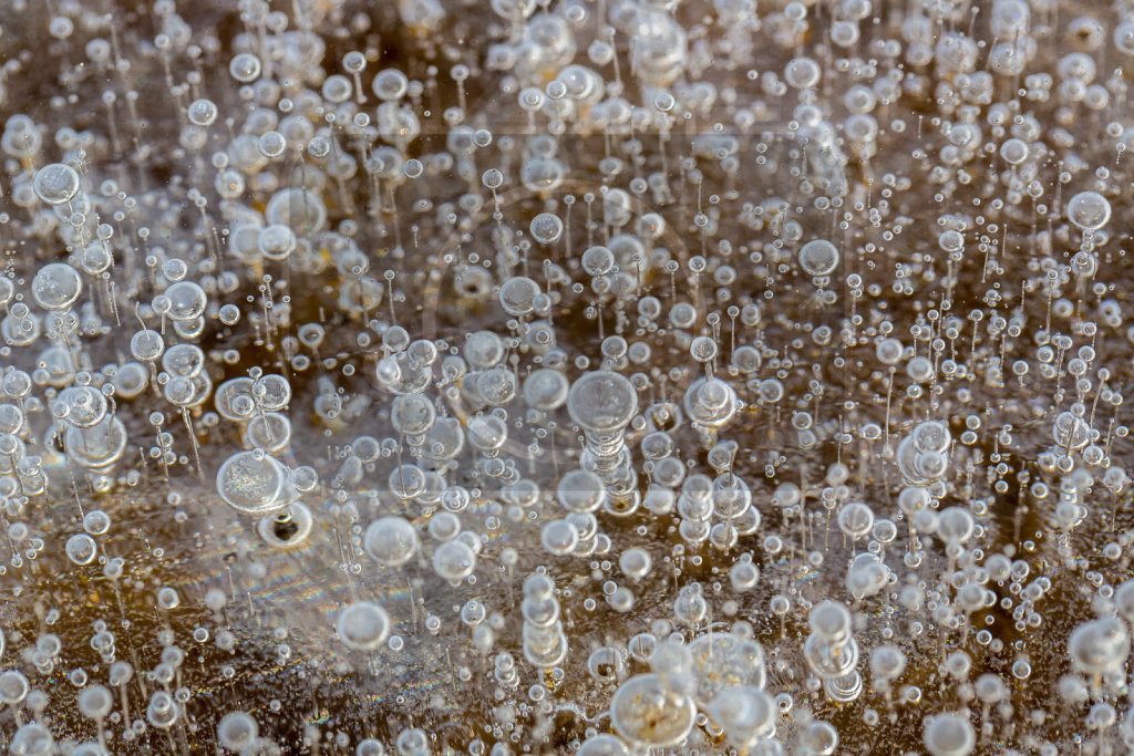 Bubbles (6)