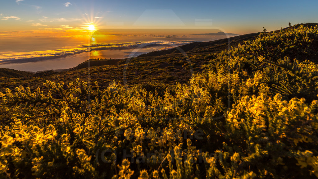 Sonnenaufgang über La Palma